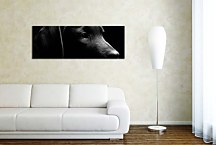 Obraz Panoráma Pes zs3164