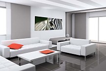 Obraz zebra zs119