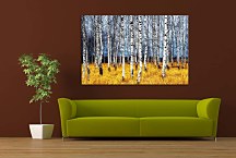 Obraz Brezový háj zs29179