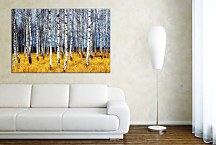 Obraz Brezový háj zs29179