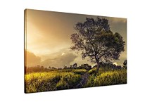 Obraz Búrka na obzore 29412