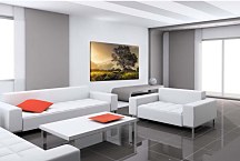 Obraz Búrka na obzore 29412