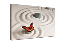Obraz na plátne Butterfly zs29292