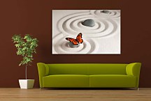 Obraz na plátne Butterfly zs29292