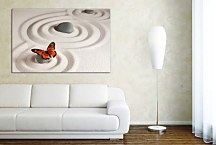 Obraz na plátne Butterfly zs29292
