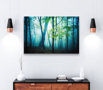 obrazy na plátne les v hmle