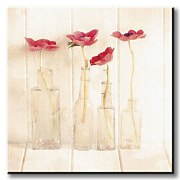 Anemones In Bottles - Obraz WDC23141