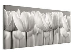 Obraz White Tulips WDC93170 - 100x50cm