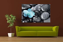 Obraz Blue orchid zs29023