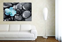 Obraz Blue orchid zs29023