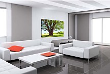 Obraz Košatý strom zs29144