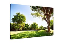 Obraz na stenu Strom zs29133