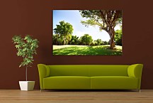 Obraz na stenu Strom zs29133