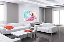 Farebný obraz s motýľom zs29195