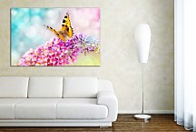 Farebný obraz s motýľom zs29195