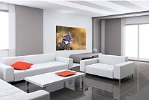 Obraz Preteky na štvorkolke zs29252