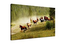Obraz s koňmi 29183