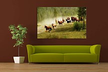 Obraz s koňmi 29183