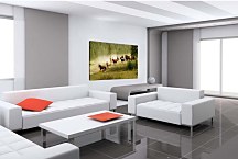 Obraz s koňmi 29183