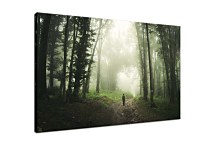 Obraz Prechádzka lesom zs29124