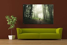 Obraz Prechádzka lesom zs29124