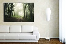 Obraz Prechádzka lesom zs29124