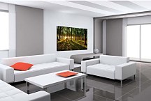 Obraz Listnatý les zs29253