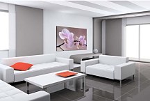 Obraz Orchidea fialová zs29017