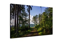 Obraz Slovenská krajina zs29055