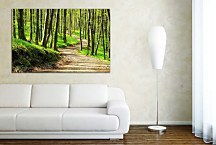 Obraz Lesná cestička so stromami 29307