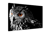 Obraz Owl 29311