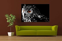 Obraz Owl 29311
