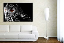 Obraz Owl 29311