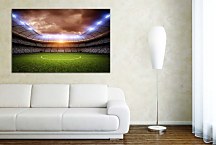 Obraz Stadion 29031