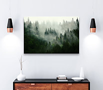 obrazy stromov v hmle