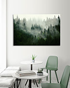 obrazy stromov jedle