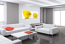 Obraz Citróny Panoráma zs372