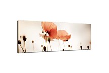 Obrazy panoráma kvety zs18556