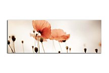 Obrazy panoráma kvety zs18556