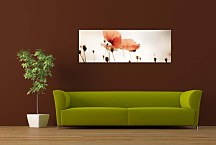 Obrazy panoráma kvety zs18556