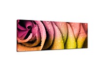 Obraz Kvety Panoráma zs90