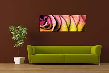 Obraz Kvety Panoráma zs90