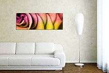 Obraz Kvety Panoráma zs90