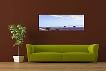 Obrazy Levanduľové pole zs3240