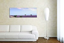 Obrazy Levanduľové pole zs3240