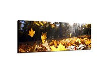 Obrazy Krajinky zs324