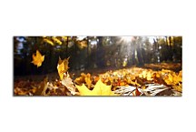 Obrazy Krajinky zs324