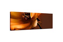 Obraz Panorámy Kvetov zs342