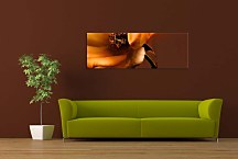 Obraz Panorámy Kvetov zs342