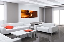 Obraz Panorámy Kvetov zs342